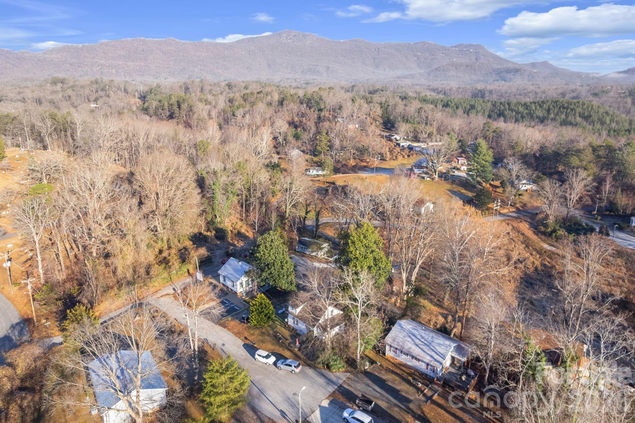 49 East Livingston Street Tryon, NC 28782 - Photo 38 of 40 Gallery Image 38