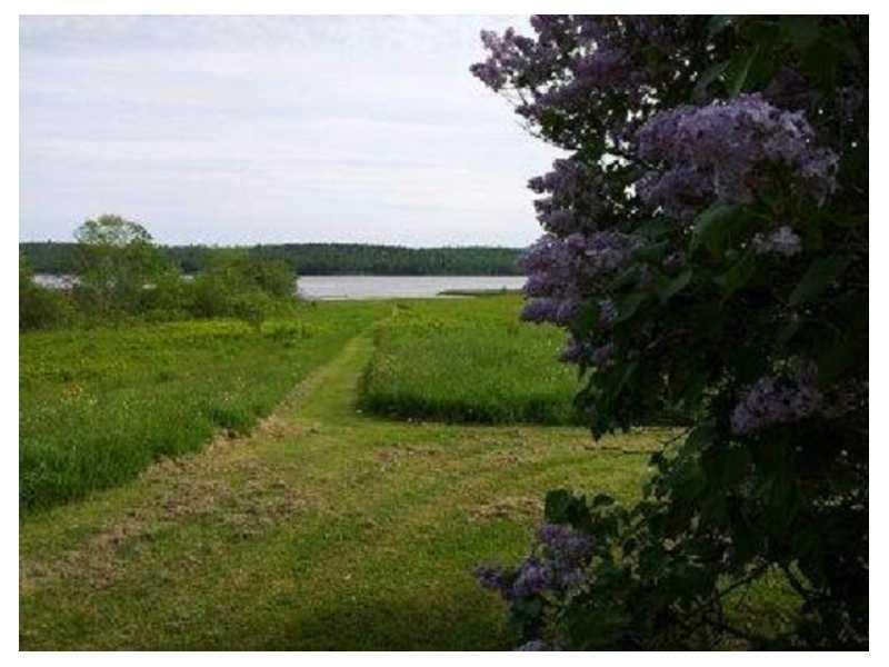 55 Hog Bay Road Franklin, ME 04634 - Photo 22 of 25 View.