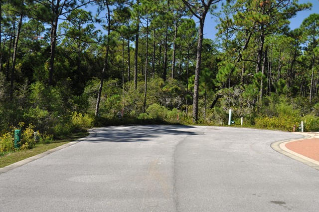 Lot 34 Redbud Ln Inlet Beach Inlet Beach, FL 32461 - Photo 2 of 11 a view of a backyard of a house