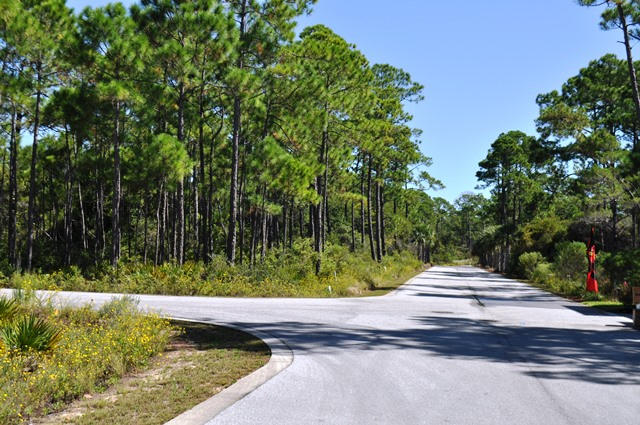 Lot 34 Redbud Ln Inlet Beach Inlet Beach, FL 32461 - Photo 4 of 11 a view of swimming pool with a yard