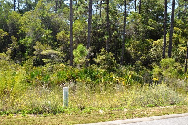 Lot 34 Redbud Ln Inlet Beach Inlet Beach, FL 32461 - Photo 5 of 11 a view of a yard