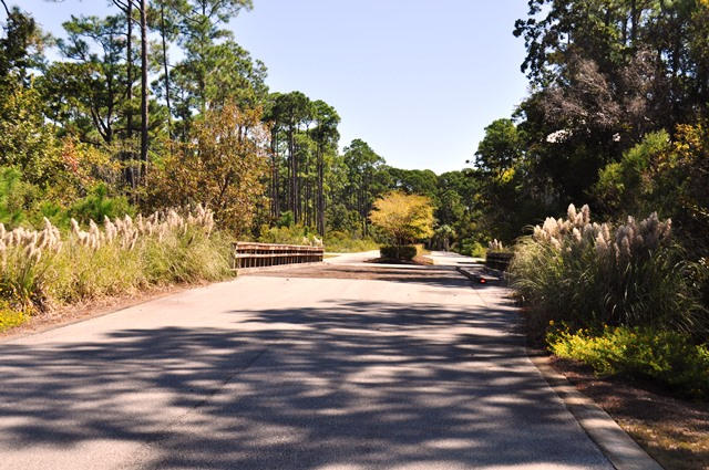 Lot 34 Redbud Ln Inlet Beach Inlet Beach, FL 32461 - Photo 6 of 11 a view of road with trees