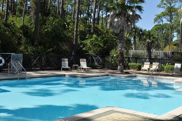 Lot 34 Redbud Ln Inlet Beach Inlet Beach, FL 32461 - Photo 8 of 11 a view of a swimming pool with a patio
