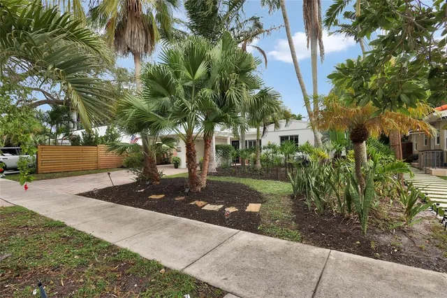 a view of a street with a tree