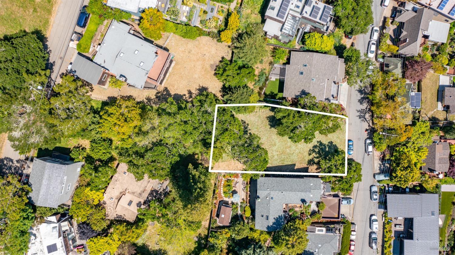 1165 Cragmont Avenue Berkeley, CA 94708 - Photo 5 of 13
