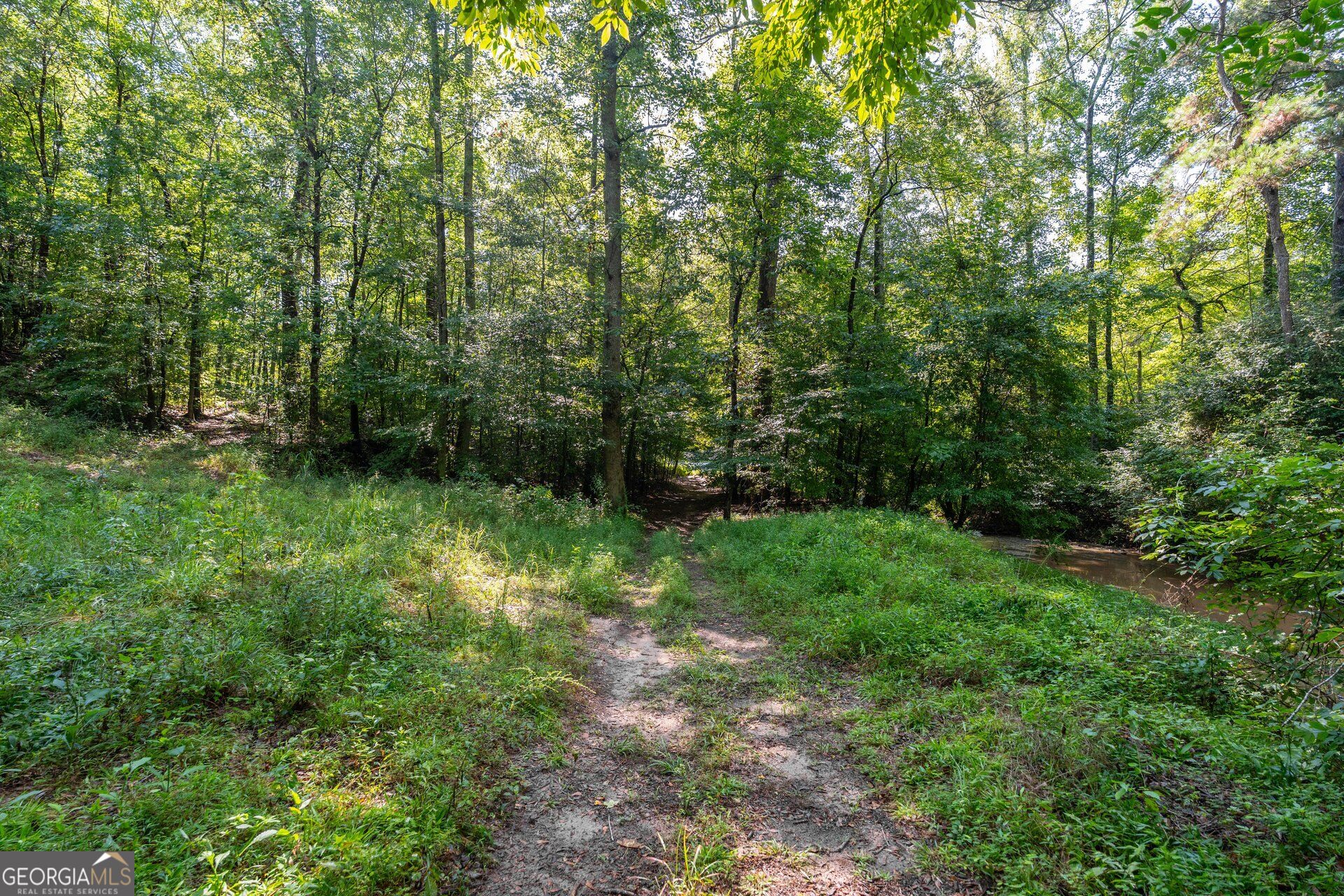 568 Brandenburg Road Franklin, GA 30217 - Photo 20 of 26 Gallery Image 20