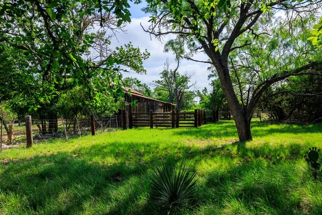 a view of a backyard with a trees