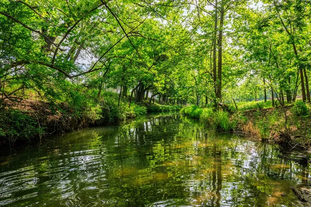 a view of lake background with house