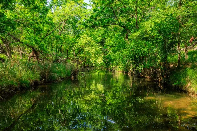 a view of lake background with house