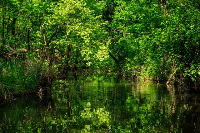 a view of a lake view
