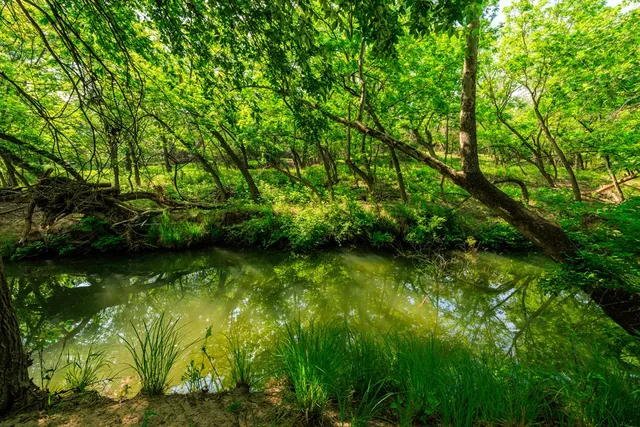 a view of swimming pool from a lake view