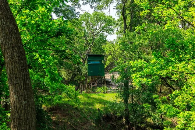 a view of outdoor space with a garden