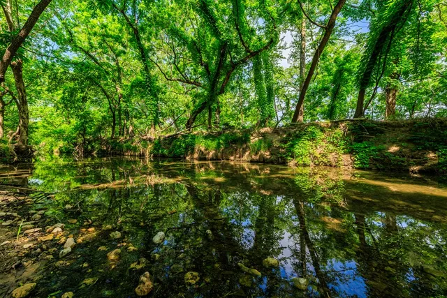 a view of outdoor space and trees all around
