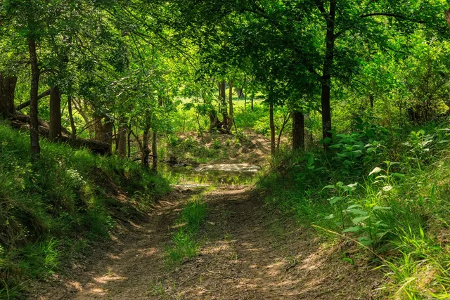 a backyard of a house with lots of green space