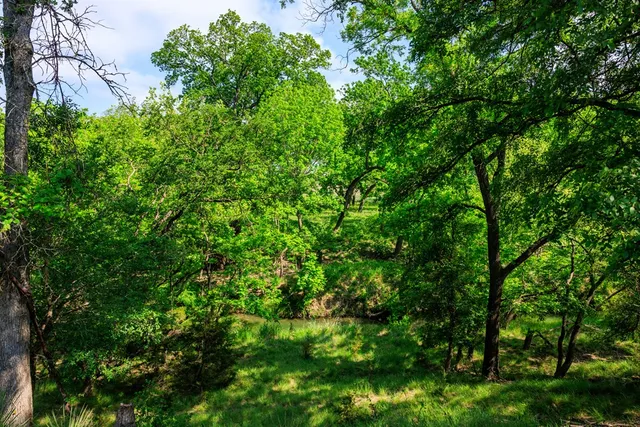 a view of swimming pool from a yard