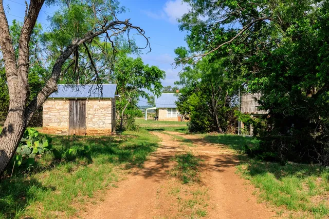 a front view of a house with a yard and a tree