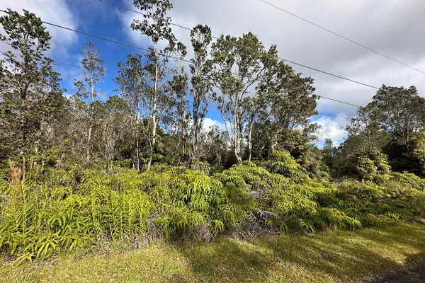 $54,000 | 2068 Mokuna Street, Volcano, HI 96785