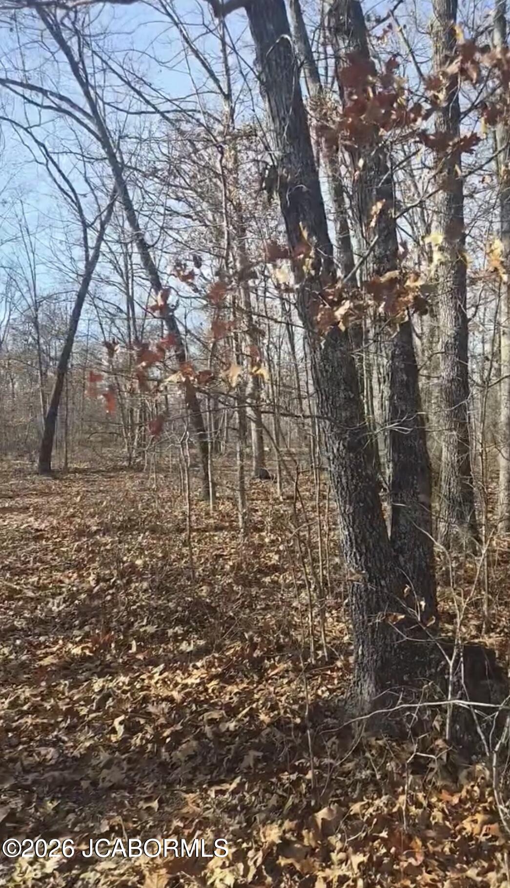 Tbd Possum Trot Road Stover, MO 65078 - Photo 3 of 6