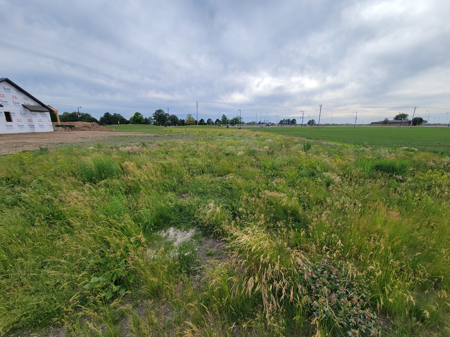16 Pointe Boulevard Peru, IL 61354 - Photo 1 of 5 a view of a big yard with large trees and plants