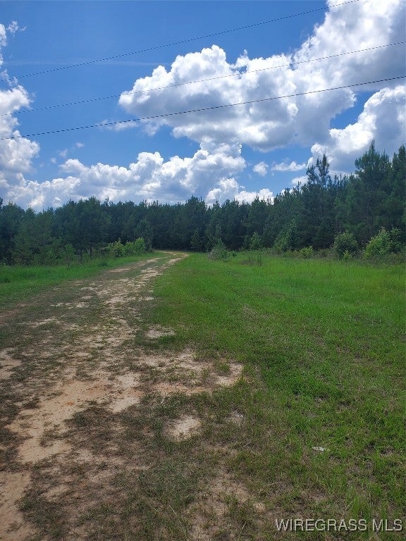 0 County Road 70 Road Ariton, AL 36311 - Photo 18 of 23 Gallery Image 18