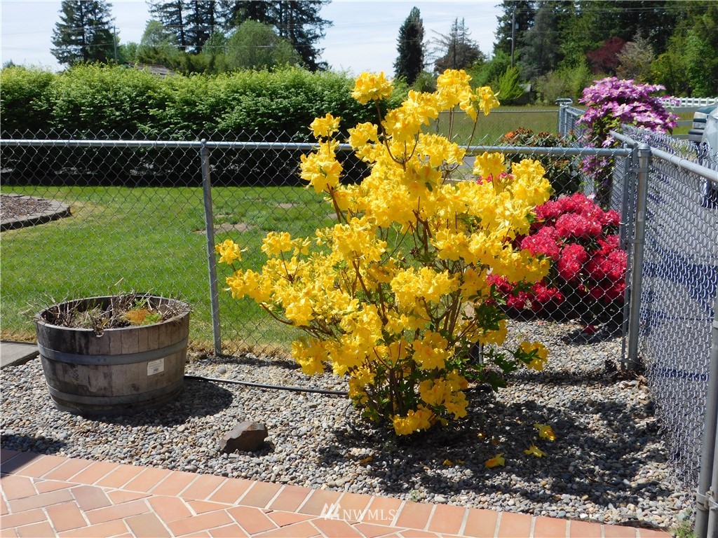 144 Eadon Road Toledo, WA 98591 - Photo 4 of 25
