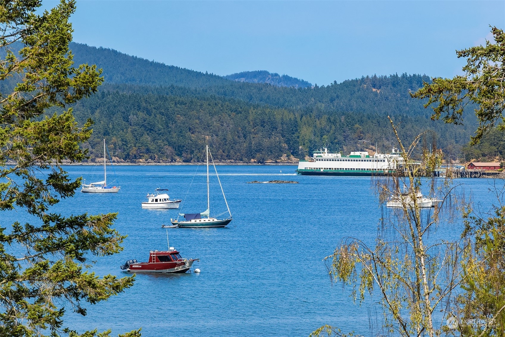 378 Smugglers Cove Road Shaw Island, WA 98286 - Photo 12 of 40 a view of a backyard