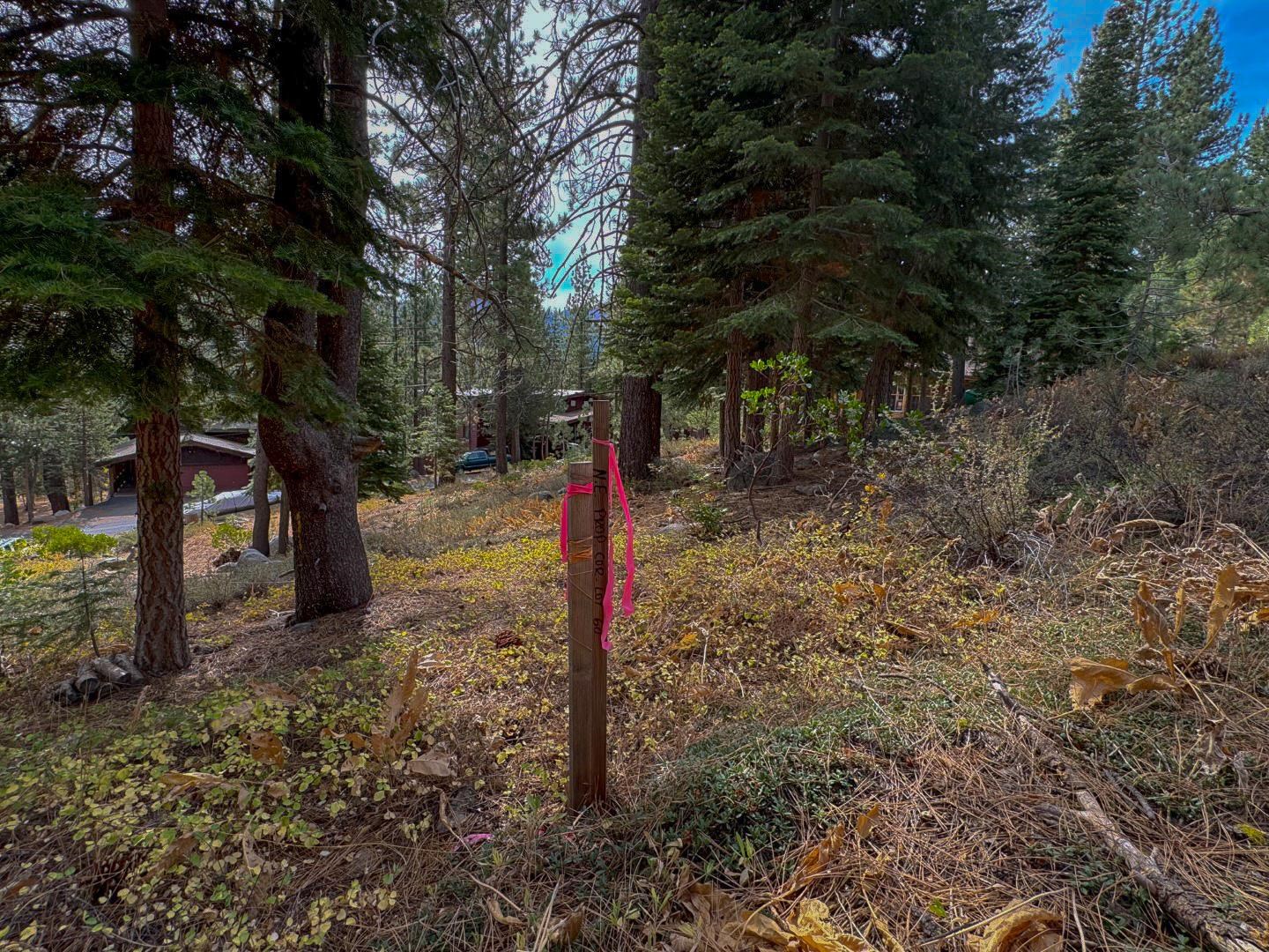 174 Tiger Tail Road Olympic Valley, CA 96146 - Photo 15 of 28 Gallery Image 15