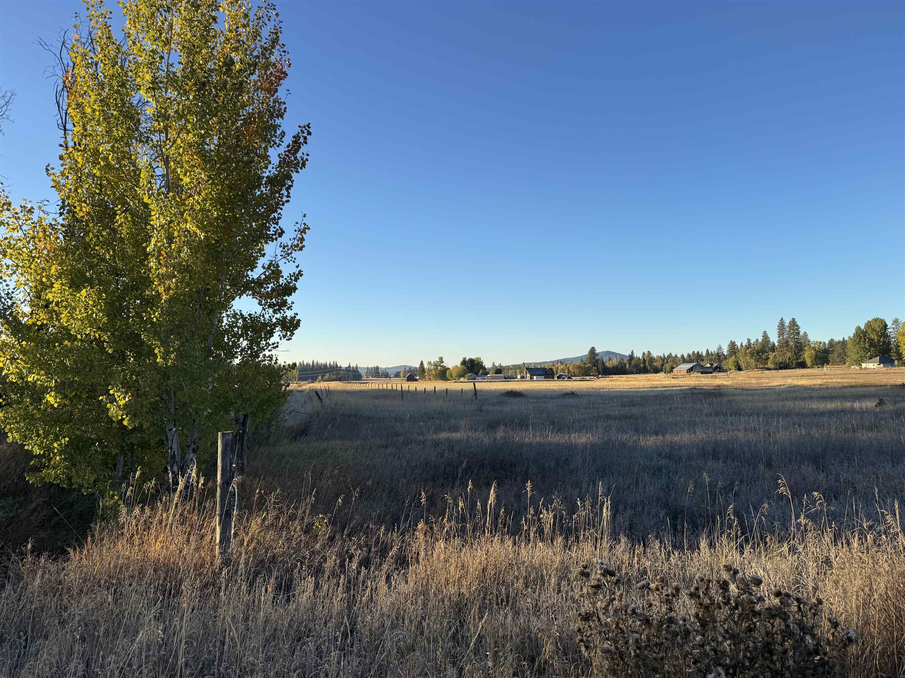 Xx Mason Road, Unit LOT 4 Clayton, WA 99110 - Photo 2 of 7