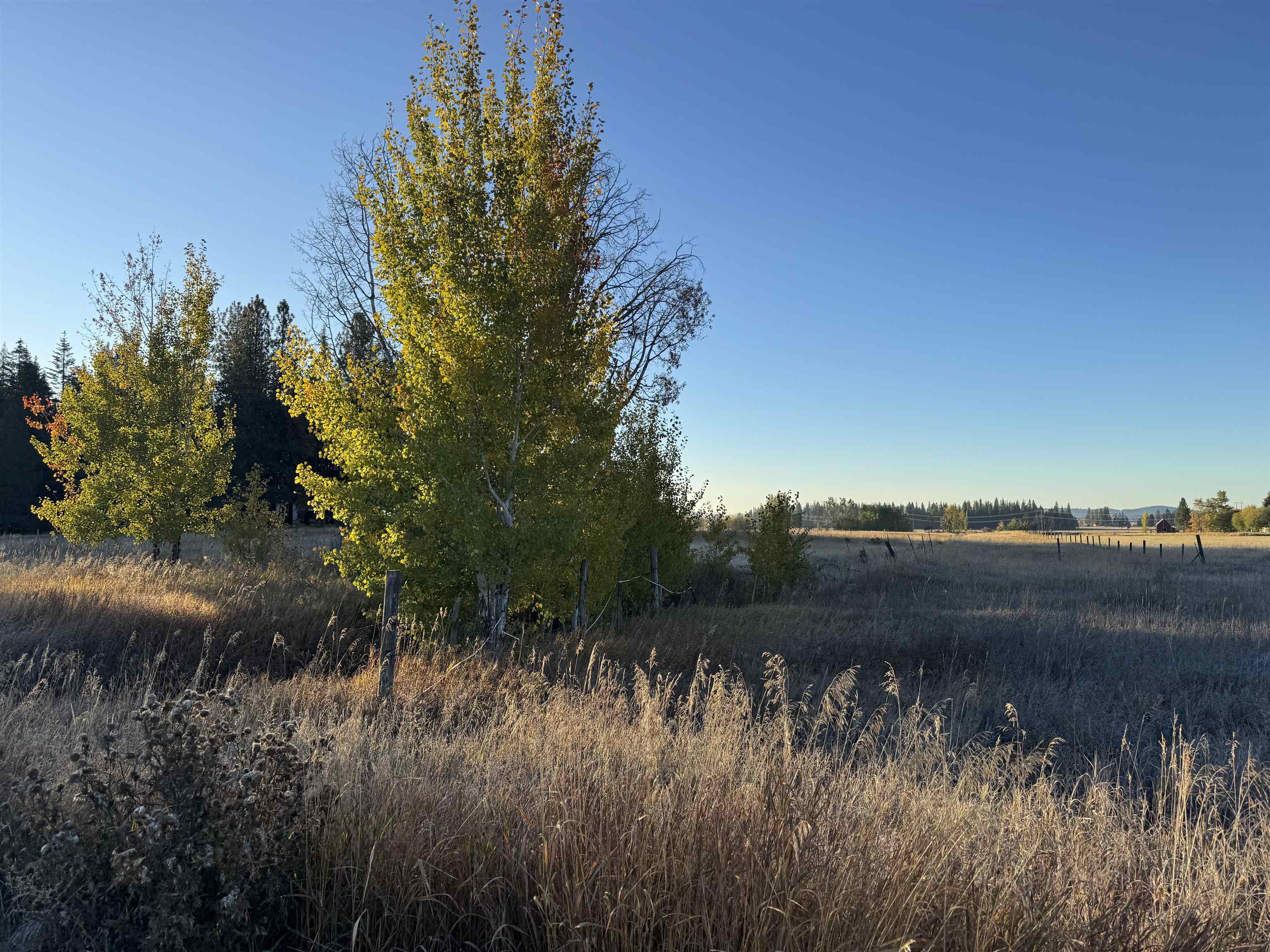 Xx Mason Road, Unit LOT 4 Clayton, WA 99110 - Photo 3 of 7