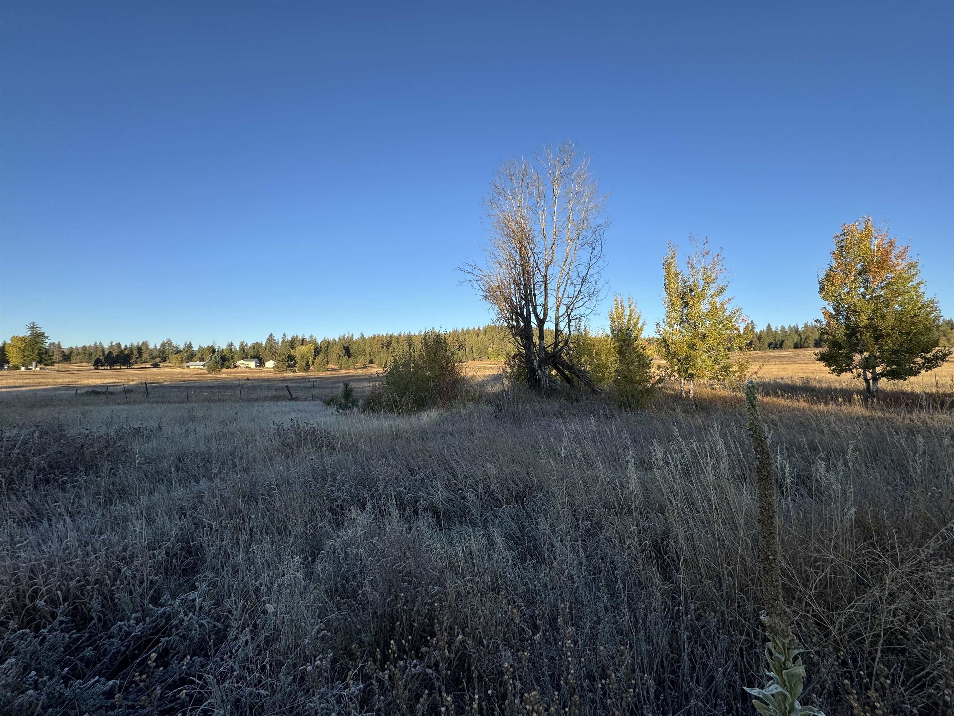 Xx Mason Road, Unit LOT 4 Clayton, WA 99110 - Photo 6 of 7