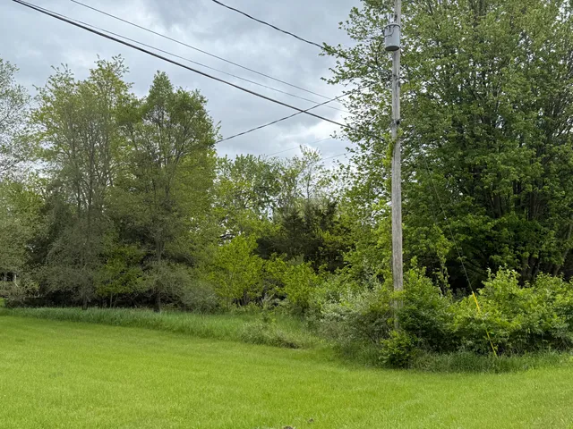 $12,500 | Vl Carlysle Drive, Brooklyn, MI 49230