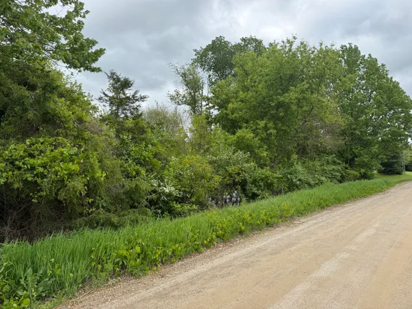 $12,500 | Vl Carlysle Drive, Brooklyn, MI 49230