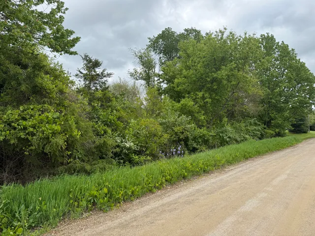 $12,500 | Vl Carlysle Drive, Brooklyn, MI 49230