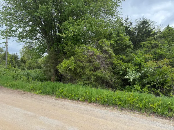 $12,500 | Vl Carlysle Drive, Brooklyn, MI 49230