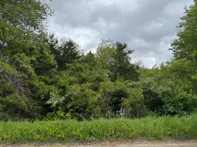 $12,500 | Vl Carlysle Drive, Brooklyn, MI 49230