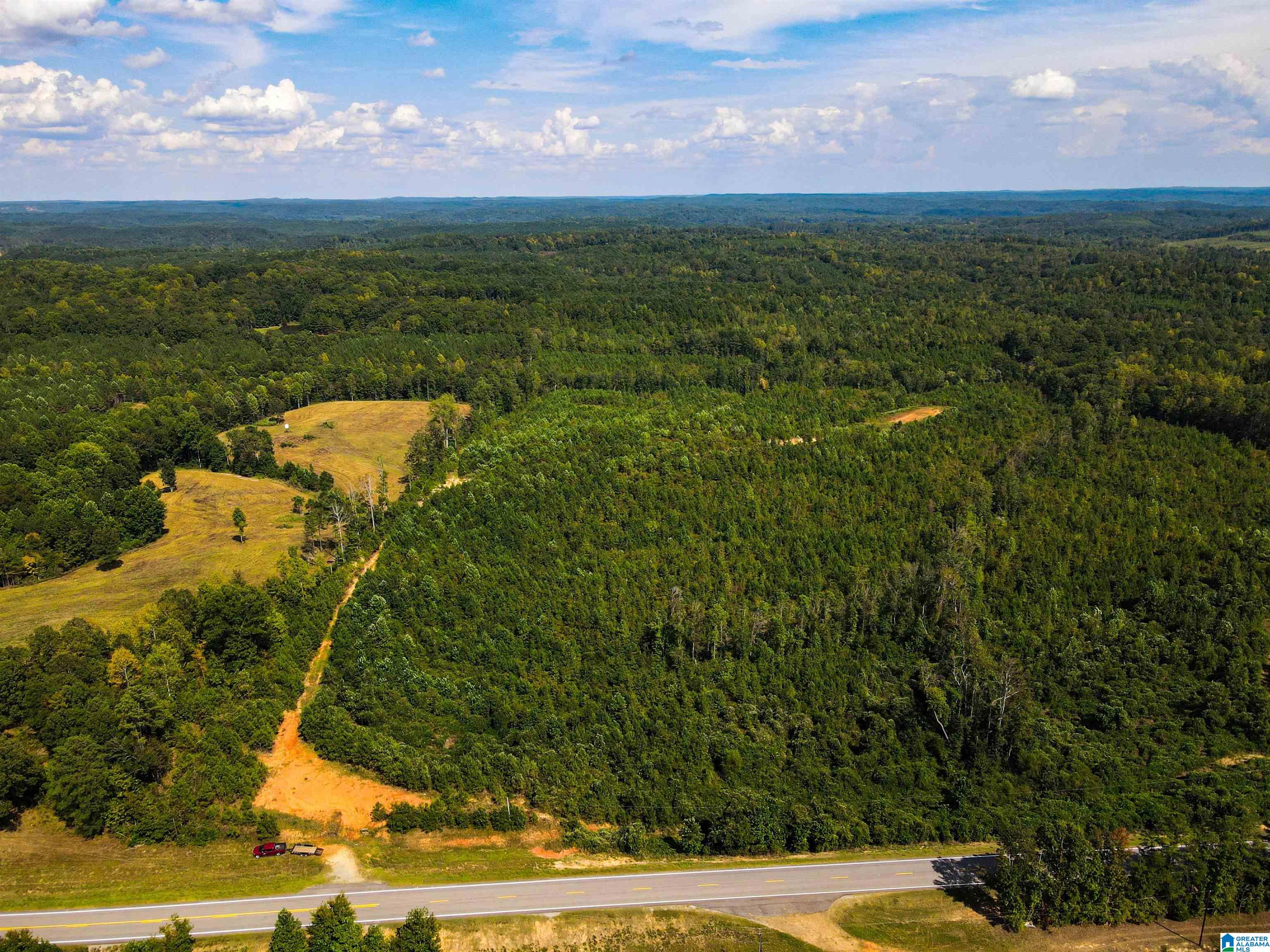 1 Highway 13, Unit 1 Berry, AL 35546 - Photo 38 of 52