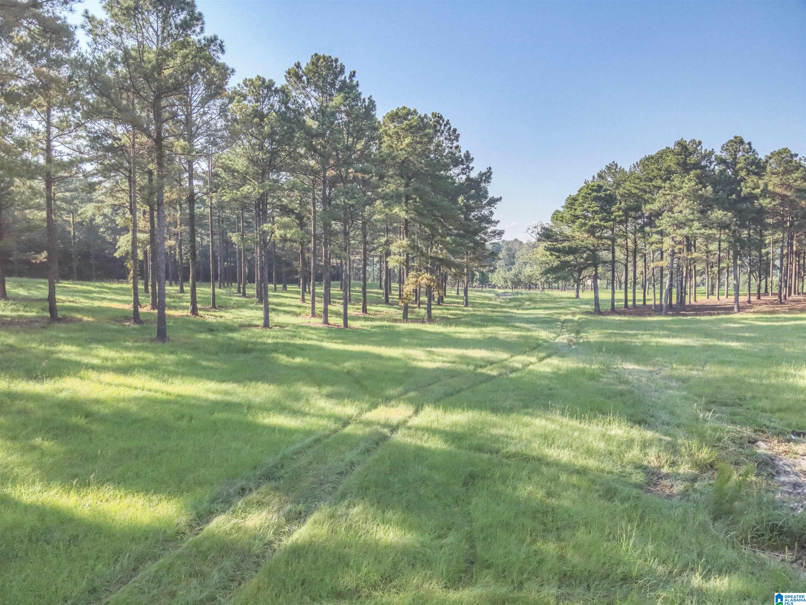 0 County Road 48, Unit 1 Jemison, AL 35085 - Photo 3 of 24