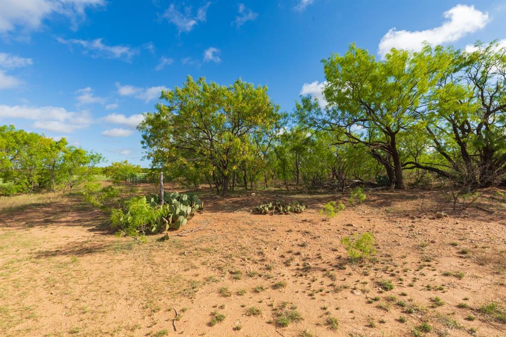 600 Fm 600 Haskell, TX 79521 - Photo 22 of 34 a backyard of a house with lots of green space