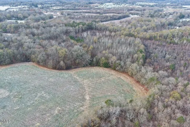 a view of a dry yard with trees