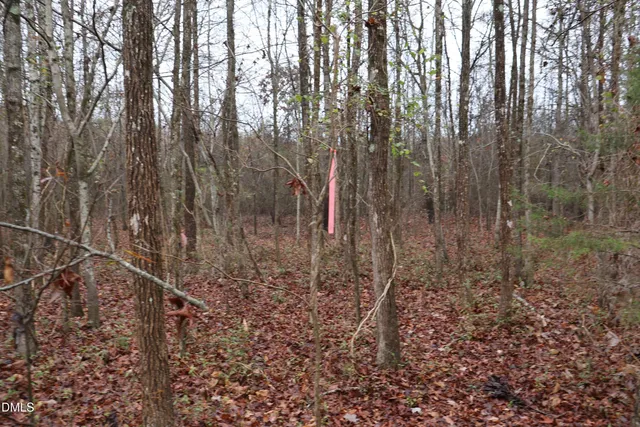 a view of a yard with large trees