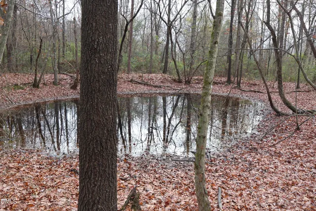 $420,000 | Tbd Willis Long Road, Monroe, NC 28110