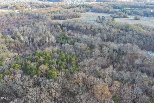 a view of a dry yard