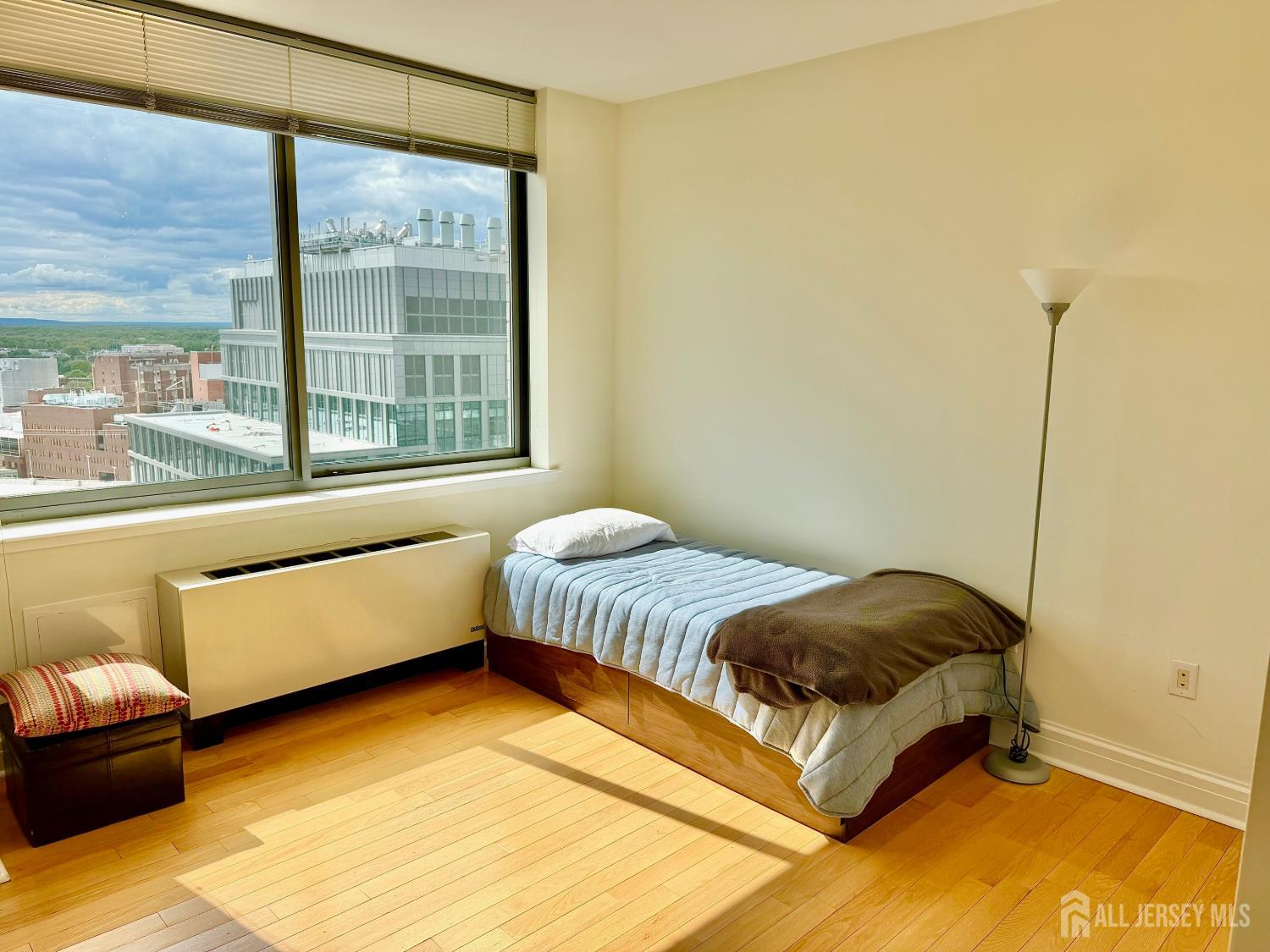 1 Spring Street, Unit 2104 New Brunswick, NJ 08901 - Photo 38 of 82 Gallery Image 38
