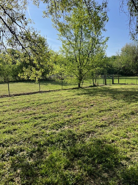 17376 Garrett Road Johnston City, IL 62951 - Photo 14 of 35