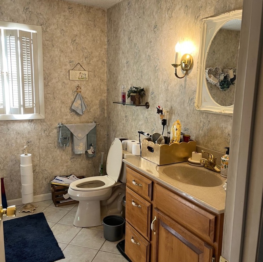 17376 Garrett Road Johnston City, IL 62951 - Photo 22 of 34 a bathroom with a sink and mirror with toilet