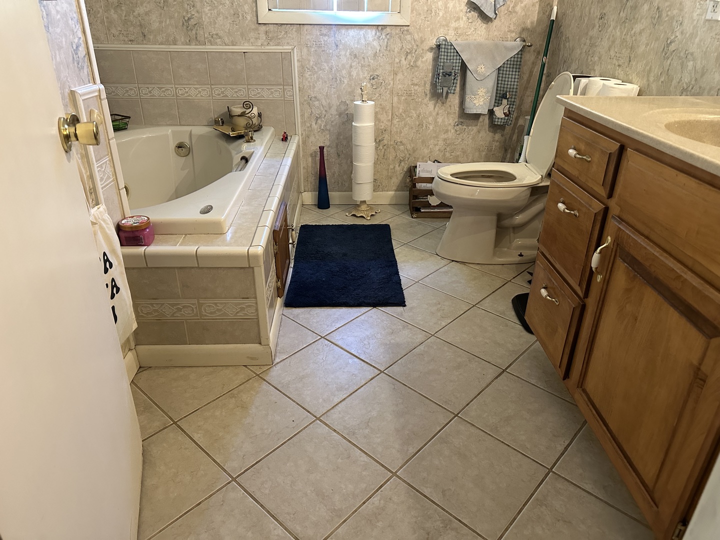 17376 Garrett Road Johnston City, IL 62951 - Photo 24 of 34 a bathroom with a sink and a toilet