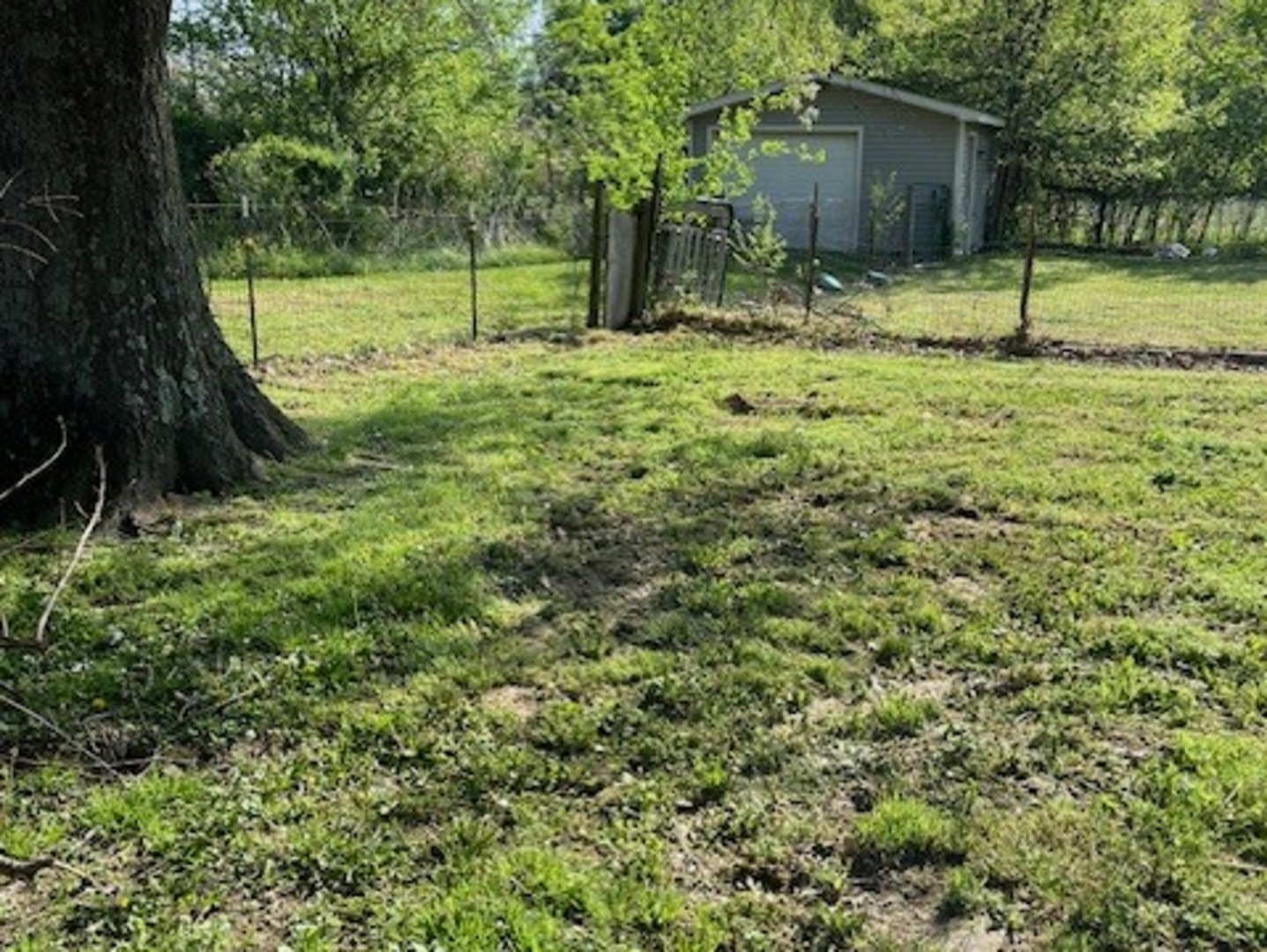 17376 Garrett Road Johnston City, IL 62951 - Photo 7 of 34 a backyard of a house with lots of green space