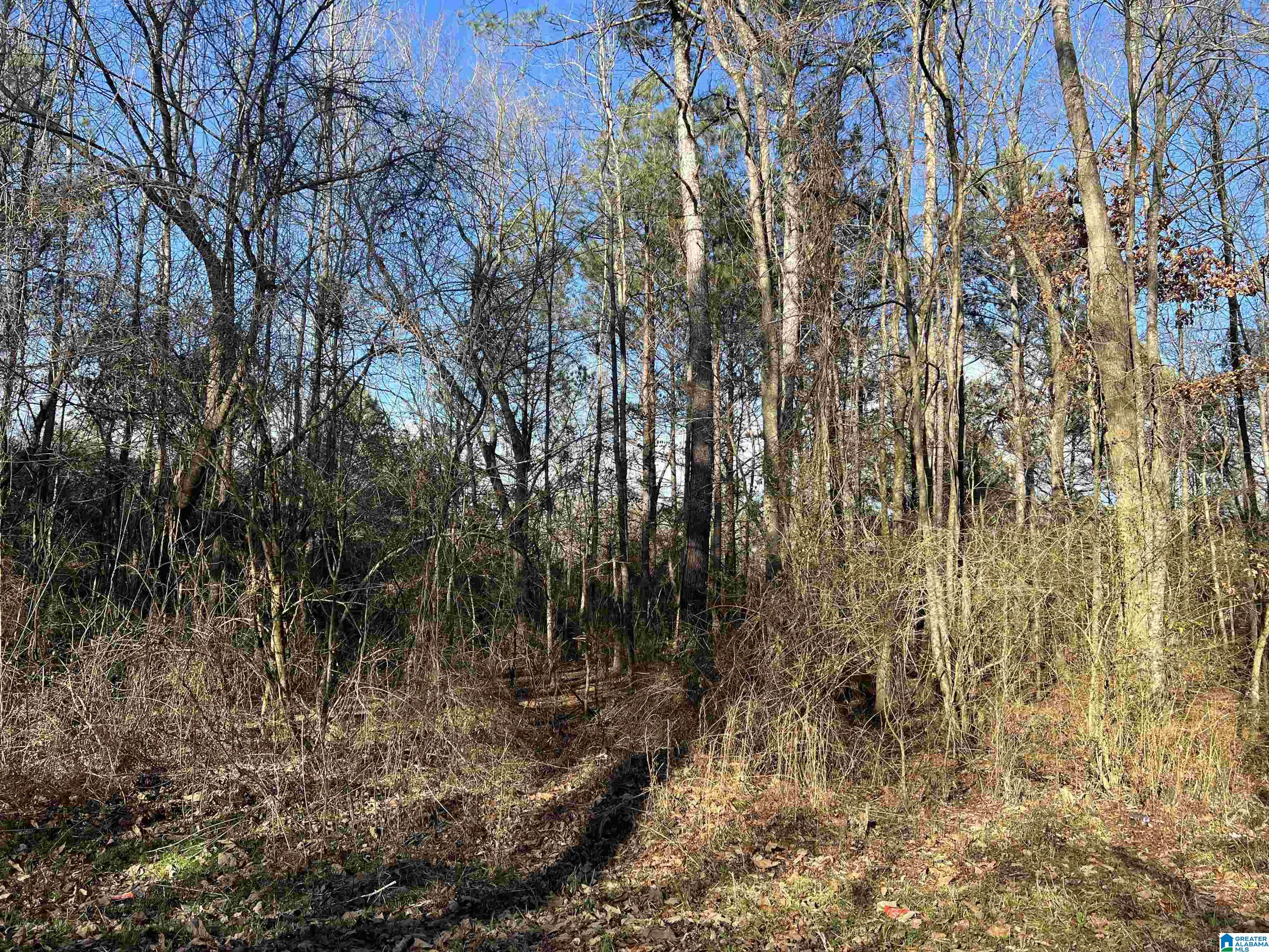 0 Altoona Cutoff Road, Unit 47 5 Oneonta, AL 35121 - Photo 18 of 36