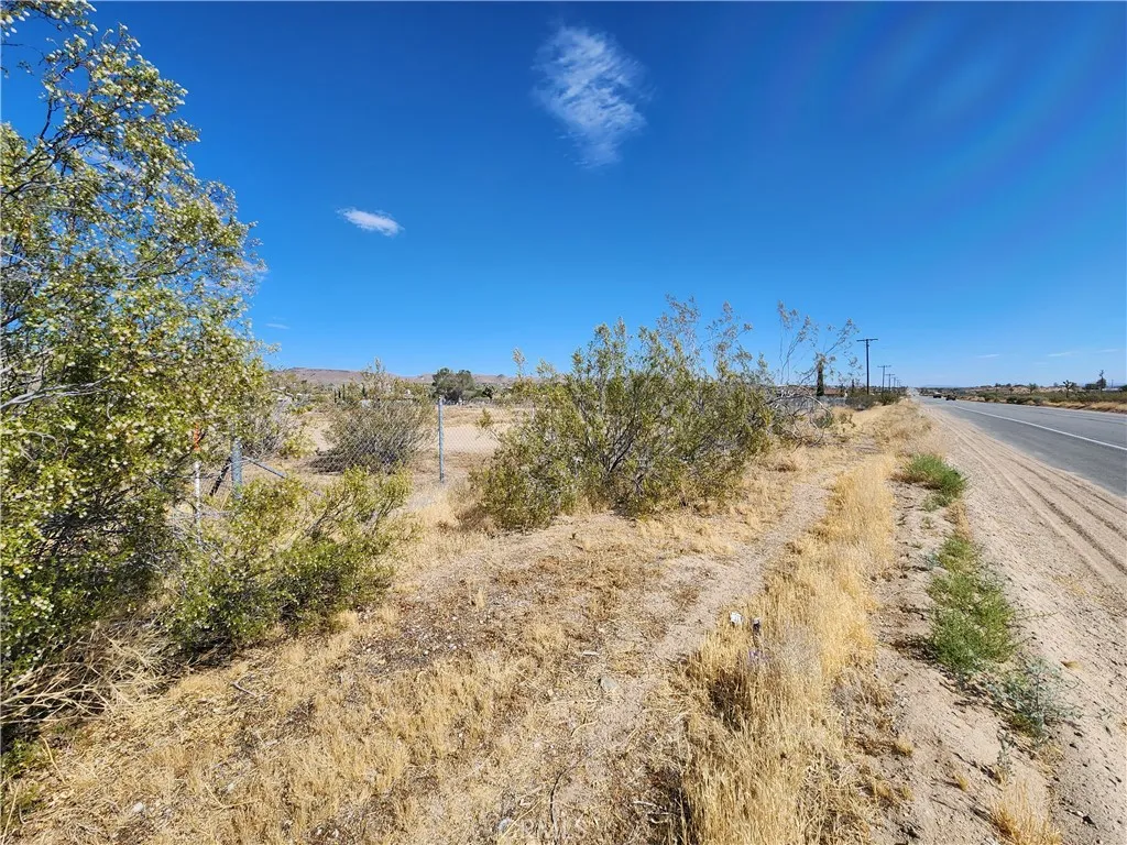 1901 Old Woman Springs Road Yucca Valley, CA 92285 - Photo 4 of 10 a view of a dry yard with wooden fence