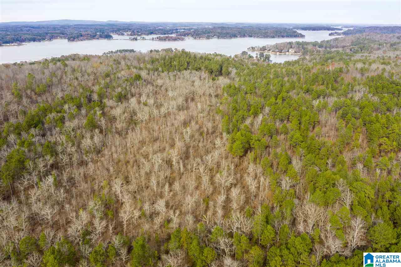 0 Constellation Avenue, Unit 1 Alpine, AL 35014 - Photo 31 of 34